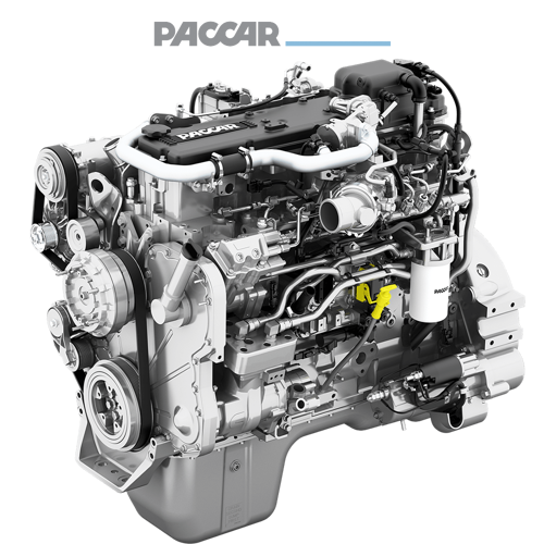 px9-with-logo